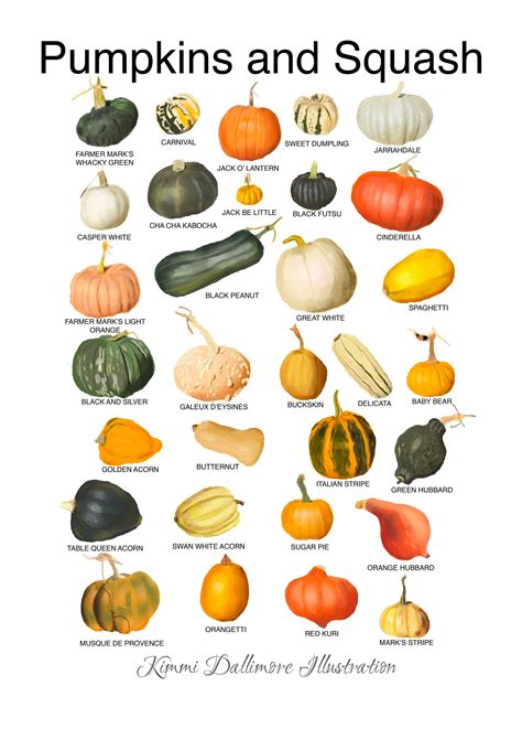 Pumpkin Varieties, Squash Varieties, Pumpkin Garden, Veg Garden ...