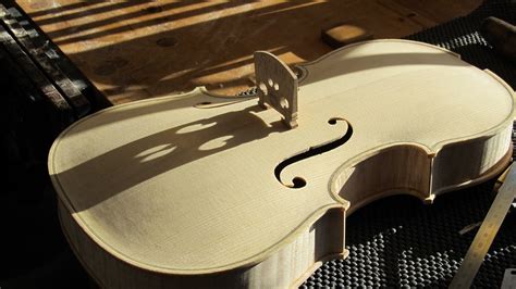 Image result for Viola Tutorial