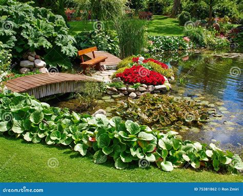 Beautiful Classical Design Garden Fish Pond with Water Lily Stock Photo ...