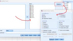 SPSS Reliability Tutorial 的图像结果