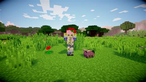Image result for LDShadowLady Minecraft Mod List