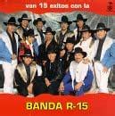 Buy Van 15 Exitos Online at Low Prices in India | Amazon Music Store ...