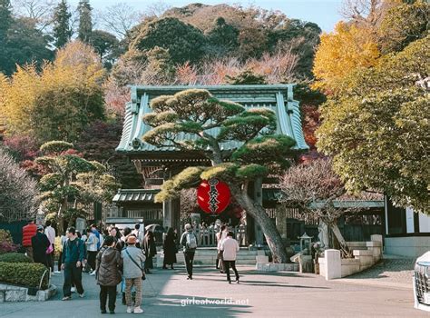 What to do in Kamakura: Easy Day Trip from Tokyo — Girl Eat World - where to go in kamakura