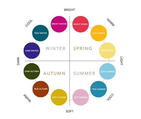 Color Palette For Quiz