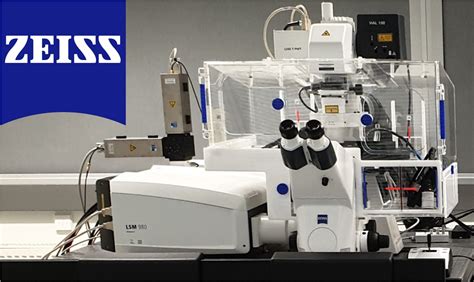 Confocal Laser Scanning Microscopy Zeiss
