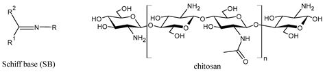 Chitosan-Based Schiff Bases (CSBs) and Their Metal Complexes: Promising ...