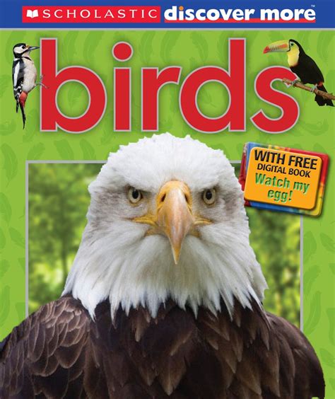 Birds (Discover More) : Arlon, Penny: Amazon.in: Books