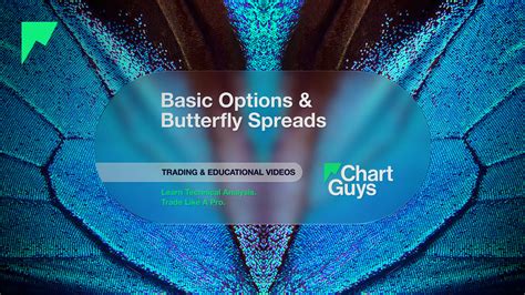 Image result for Butterfly Options