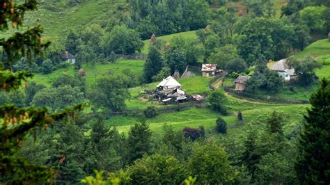 Country Pics 的图像结果