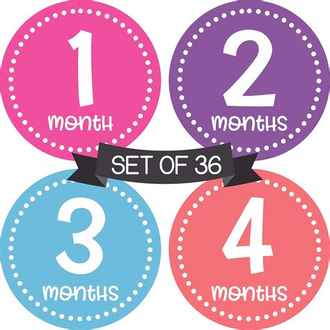 Months In Motion Baby Girl Monthly Milestone Stickers - Cute Month ...