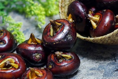 Can Dogs Eat Chestnuts? Health Advice For Worried Dog Owners