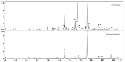 Metabolomics and DNA-Based Authentication of Two Traditional Asian ...