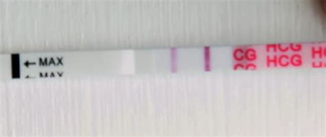 Pregnancy Test Progression. Take a peek! *pics | BabyCenter