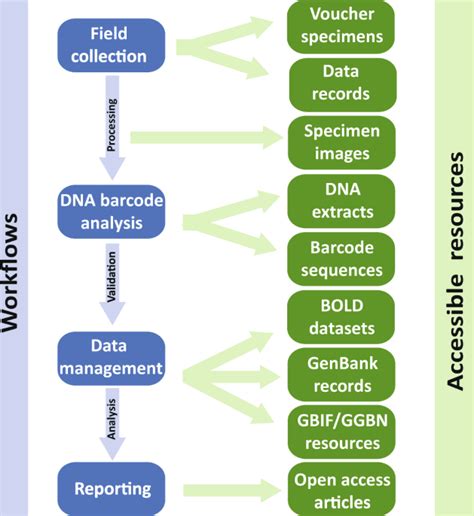 DNA Barcoding Library 的图像结果