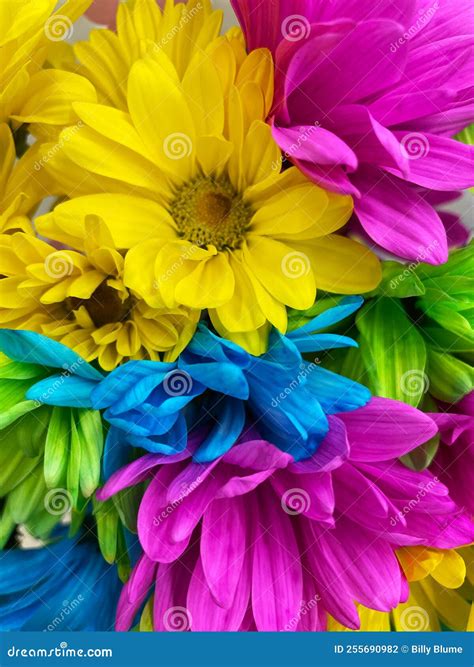 Yellow Blue Pink and Green Flower Arrangement Background Stock Photo ...