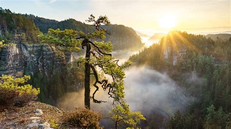 Computer Background 的图像结果