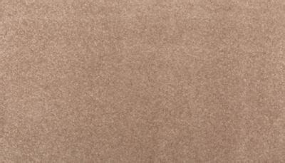 Homefront II, Desert Mud, Carpet | Mohawk Flooring