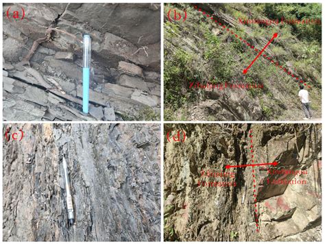 Comprehensive Comparison of Lacustrine Fine-Grained Sedimentary Rock ...