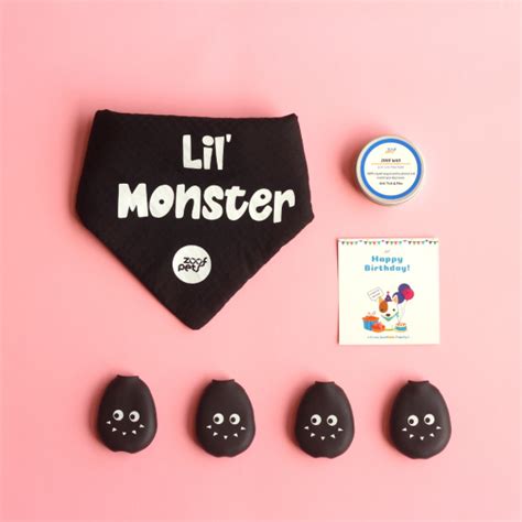 Happy Birthday Box for Dogs | Boots & Bandana Gift Set | Zoof Pets