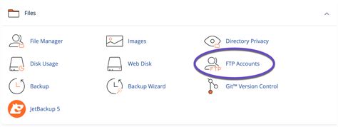 Image result for FTP cPanel
