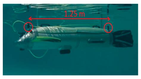 Hydroacoustic System in a Biomimetic Underwater Vehicle to Avoid ...