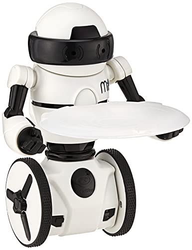 RC Mini MIP Robot 的图像结果