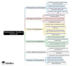 Mind Map: Photosynthesis - Provider of Food for All - Biology Class 10 ...