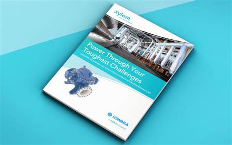 Lowara e-XC single stage, double suction centrifugal pump | Xylem India