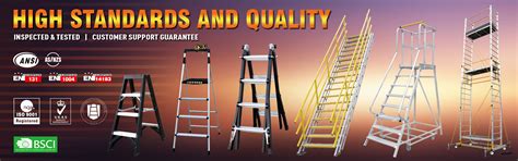 Multi-Position Ladder 的图像结果