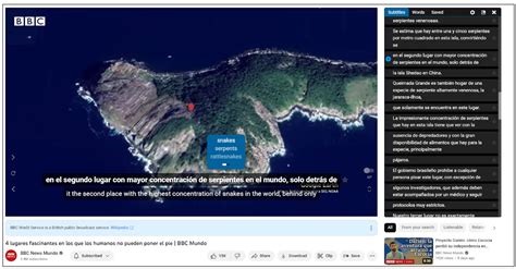 Learning Language with Clips 的图像结果