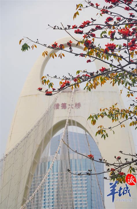 【中英双语】修缮2年后，百年陶陶居广州总店重新迎客