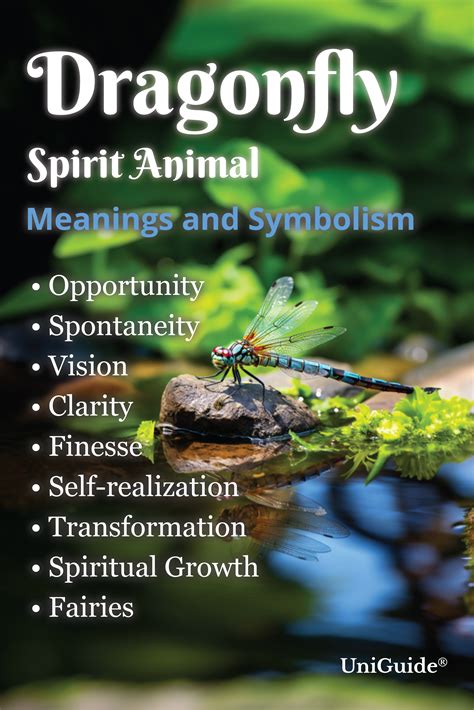 Dragonfly Meaning & Symbolism & the Dragonfly Spirit Animal | Spirit ...