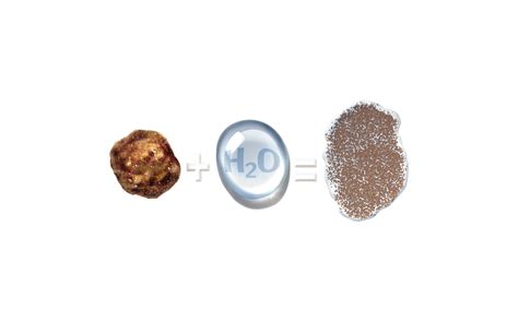 Humic DG 的图像结果