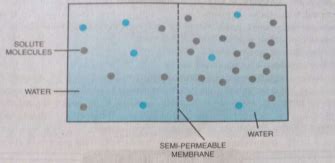 Look into given figure and answer the following,In which direction will ...