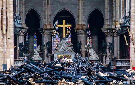 大火之后的巴黎圣母院 。图片来自@Edwin埃德文|埃德文|巴黎圣母院|大火_新浪新闻