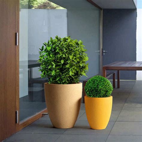 5 Ways To Dress Your Living Room With Designer Indoor Planters | Femina.in