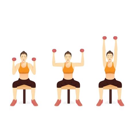 Image result for Exercices Musculation Bras