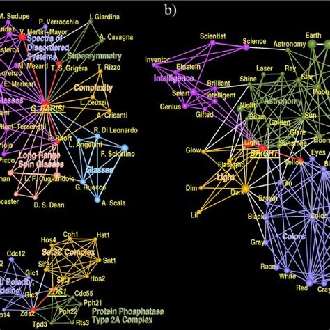 Finding Community Structure in Very Large Networks 的图像结果