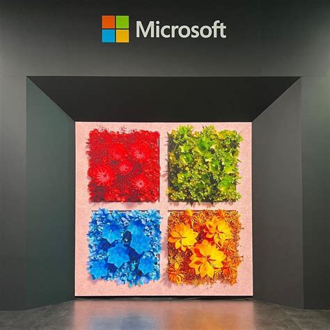 Microsoft 的图像结果