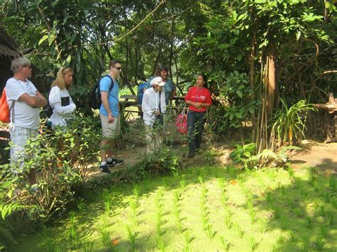 CHIANG MAI URBAN ADVENTURES (2025) All You Need to Know BEFORE You Go ...