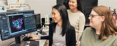 Grad-School Biomedical Engineering 的图像结果