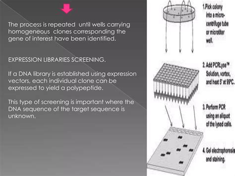 Library Screening 的图像结果