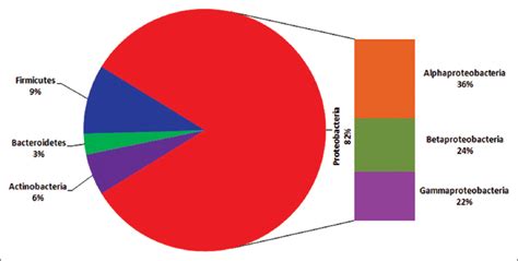 Endophytic nitrogen-fixing bacteria: Untapped treasurer for ...