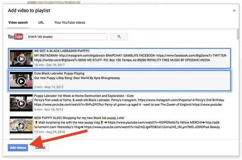 Image result for Create a Video Playlist