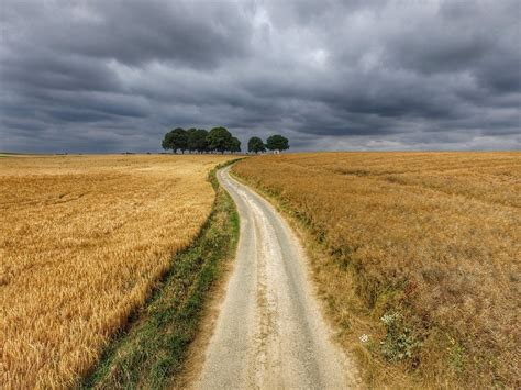 THE BEST Places to Visit in Courcelette (2026) - Must-See Attractions