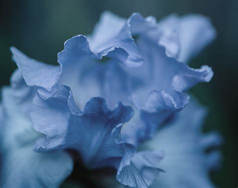 Bland-Hackleman Funeral Home | El Dorado Springs, MO