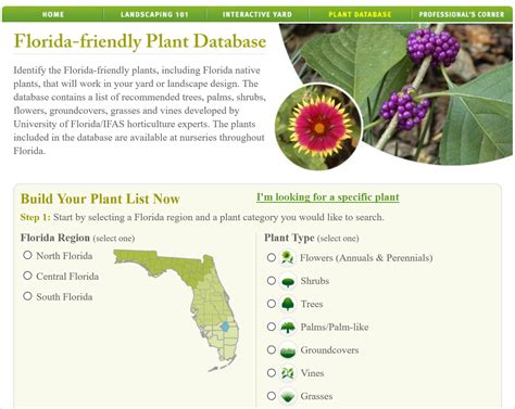 Guía De Plantas Nativas De Florida
