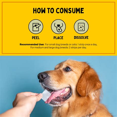 Furlicks Skin & Coat Maple Syrup Pet Oral Food Supplement - 45g (30 St ...