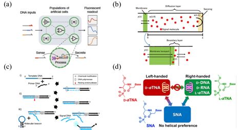 Bio Computer Science 的图像结果