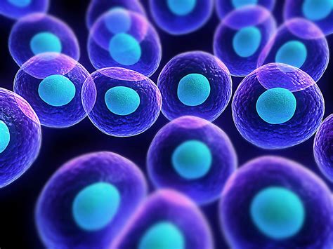 Cell Biology Wallpaper - WallpaperSafari
